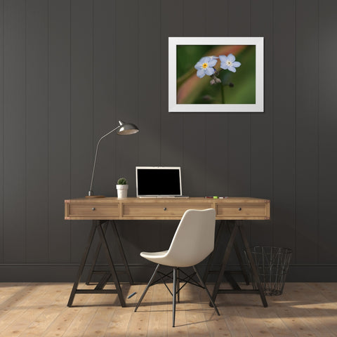 Spring Flower White Modern Wood Framed Art Print by Bonin, Suzanne