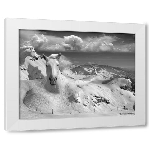 Icy Studs White Modern Wood Framed Art Print by Barbey, Thomas