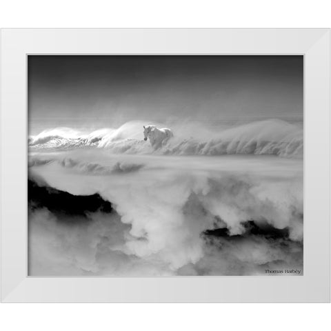 Night... Mare White Modern Wood Framed Art Print by Barbey, Thomas