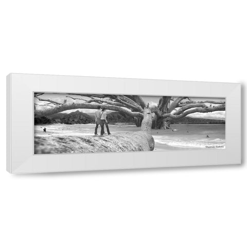 Nut Tree White Modern Wood Framed Art Print by Barbey, Thomas