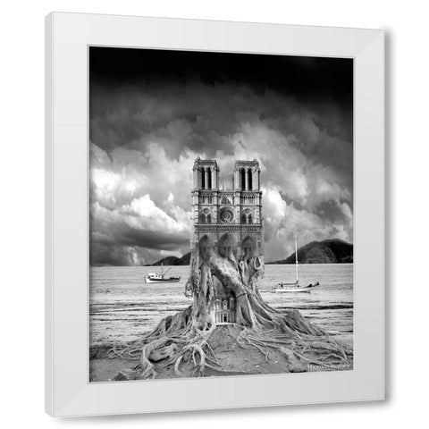 Stumped White Modern Wood Framed Art Print by Barbey, Thomas
