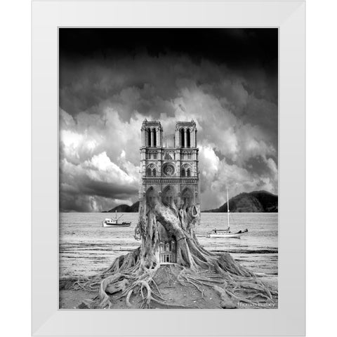 Stumped White Modern Wood Framed Art Print by Barbey, Thomas