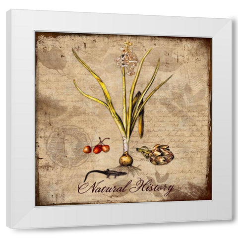 Natural History White Modern Wood Framed Art Print by Lavoie, Tina