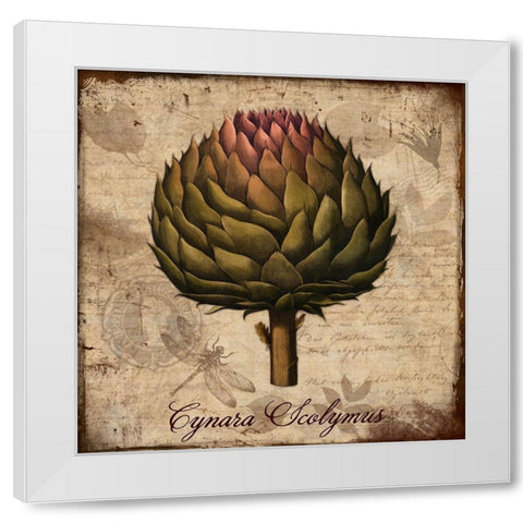 Cynara Scolymus White Modern Wood Framed Art Print by Lavoie, Tina