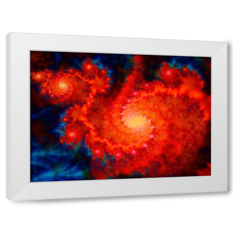 Cosmos White Modern Wood Framed Art Print by Lavoie, Tina