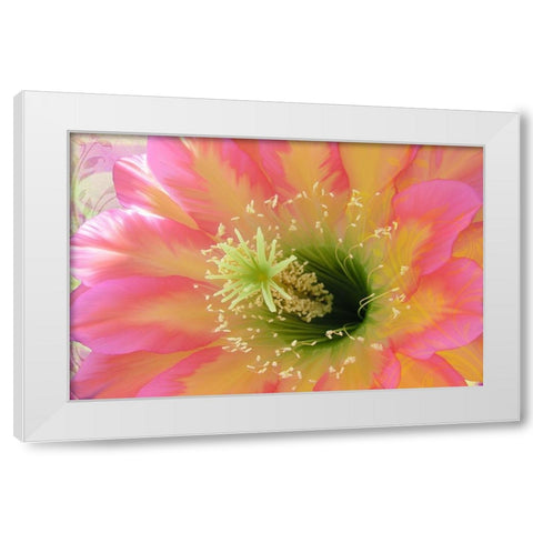 Paradisum II White Modern Wood Framed Art Print by Lavoie, Tina