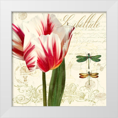 Natural History Sketchbook I White Modern Wood Framed Art Print by Lavoie, Tina