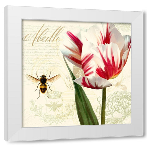 Natural History Sketchbook II White Modern Wood Framed Art Print by Lavoie, Tina