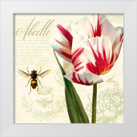 Natural History Sketchbook II White Modern Wood Framed Art Print by Lavoie, Tina