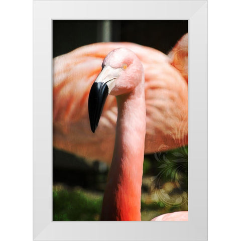 Pink Flamingo II White Modern Wood Framed Art Print by Lavoie, Tina