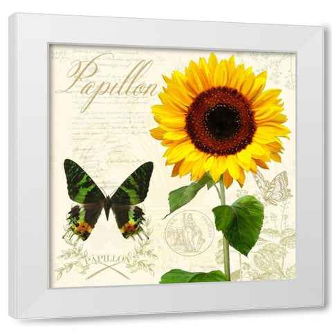 Natural History Sketchbook III White Modern Wood Framed Art Print by Lavoie, Tina