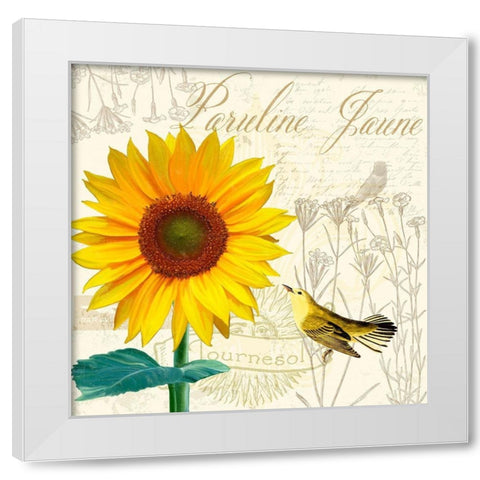 Natural History Sketchbook IV White Modern Wood Framed Art Print by Lavoie, Tina