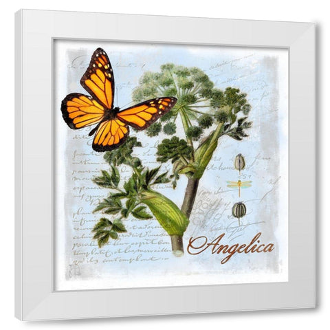 Angelica Herb White Modern Wood Framed Art Print by Lavoie, Tina