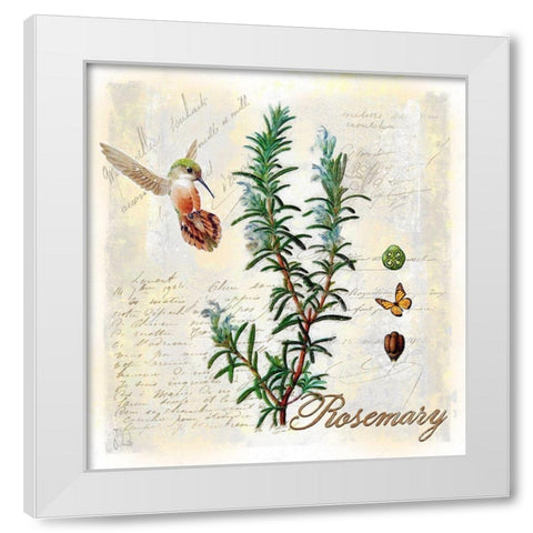 Rosemary Herb White Modern Wood Framed Art Print by Lavoie, Tina