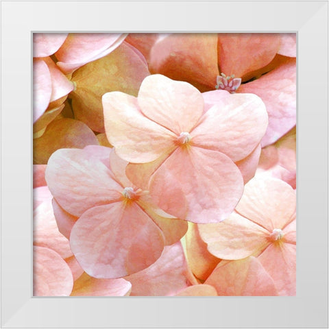 Innocence Pattern White Modern Wood Framed Art Print by Lavoie, Tina