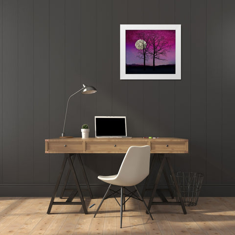 Solitude II White Modern Wood Framed Art Print by Lavoie, Tina
