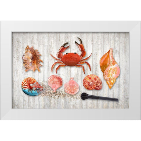 Marine Biology White Modern Wood Framed Art Print by Lavoie, Tina