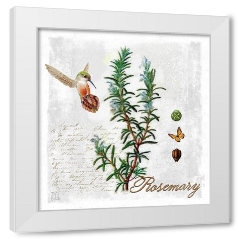 Botanical Garden Rosemary Herb White Modern Wood Framed Art Print by Lavoie, Tina