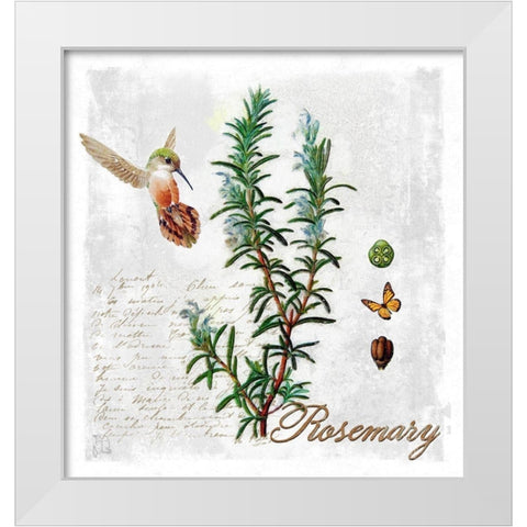 Botanical Garden Rosemary Herb White Modern Wood Framed Art Print by Lavoie, Tina