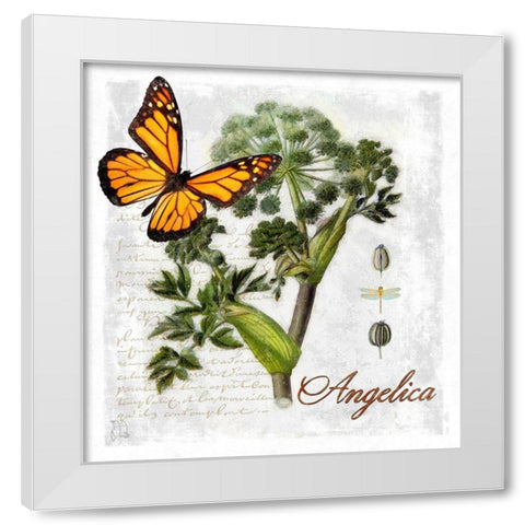 Botanical Gardern Angelica Herb White Modern Wood Framed Art Print by Lavoie, Tina