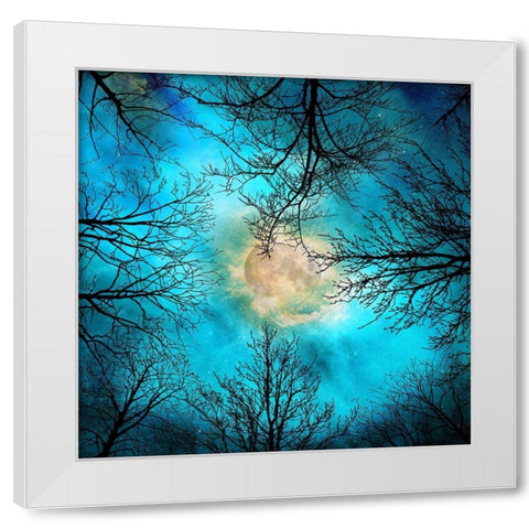 evening White Modern Wood Framed Art Print by Lavoie, Tina