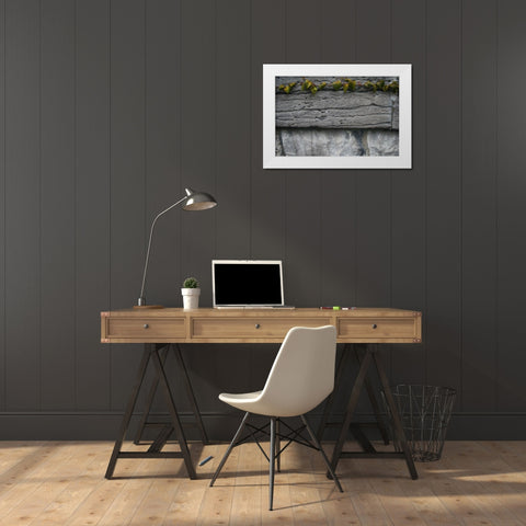 Old Montreal Ancient Wall and Ivy 2 White Modern Wood Framed Art Print by Lavoie, Tina