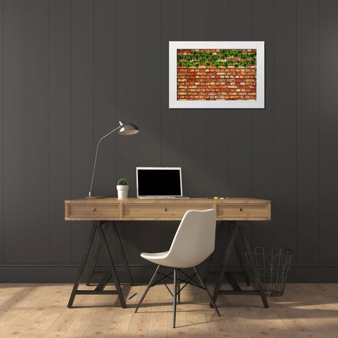Brick Wall and Ivy White Modern Wood Framed Art Print by Lavoie, Tina