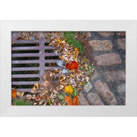 Old Montreal Metal Grate 03 White Modern Wood Framed Art Print by Lavoie, Tina