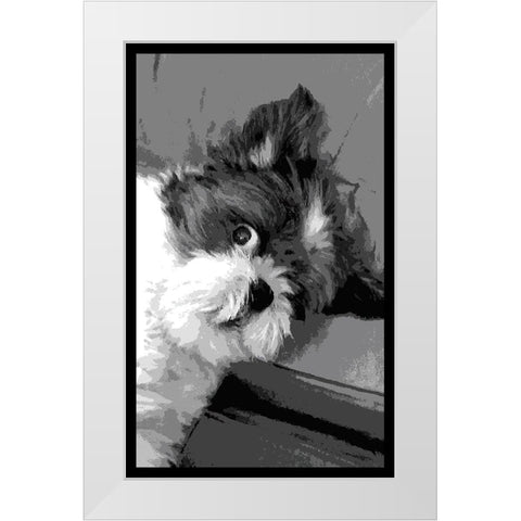 Say What White Modern Wood Framed Art Print by Lavoie, Tina