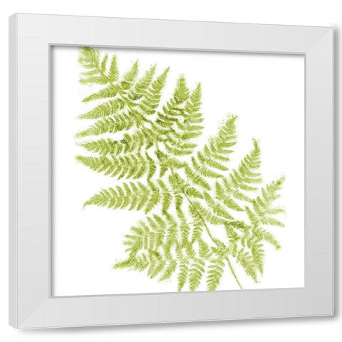 Fresh White Modern Wood Framed Art Print by Lavoie, Tina
