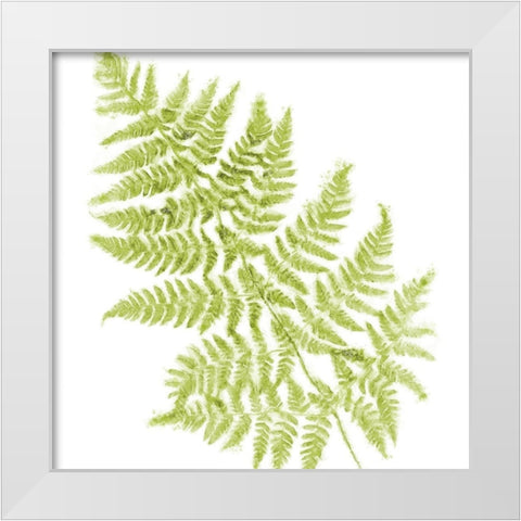 Fresh White Modern Wood Framed Art Print by Lavoie, Tina