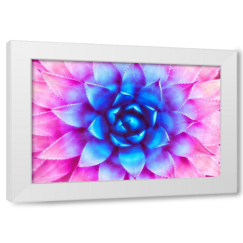 Agave Sunset White Modern Wood Framed Art Print by Lavoie, Tina