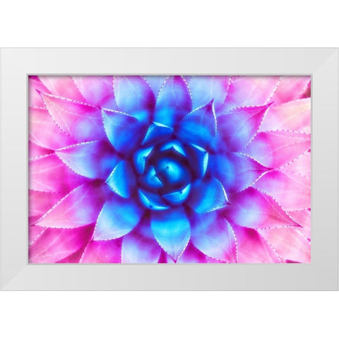 Agave Sunset White Modern Wood Framed Art Print by Lavoie, Tina