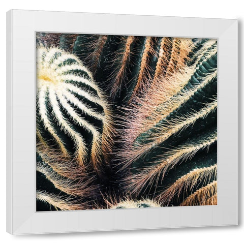 Cactus White Modern Wood Framed Art Print by Lavoie, Tina