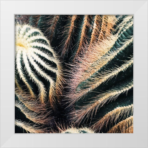 Cactus White Modern Wood Framed Art Print by Lavoie, Tina