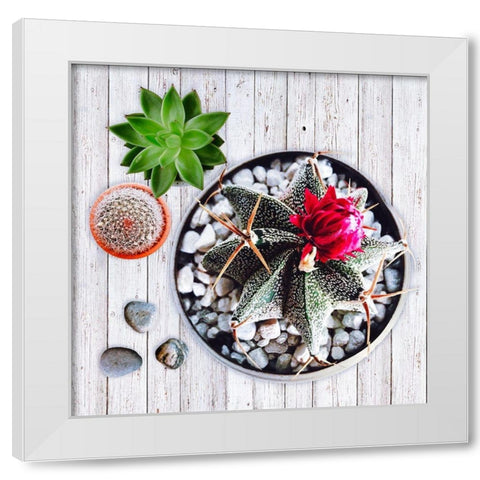 Two Succulents and A Cactus White Modern Wood Framed Art Print by Lavoie, Tina