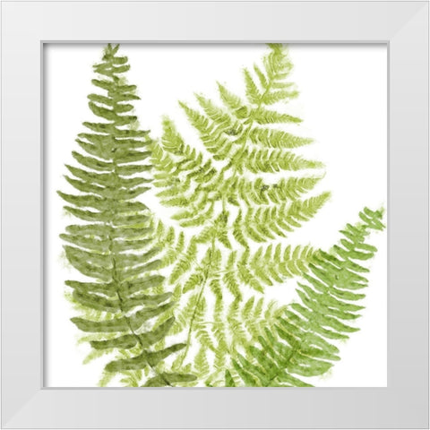 Fresh II White Modern Wood Framed Art Print by Lavoie, Tina