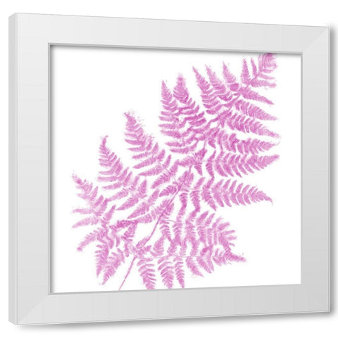 Fresh III White Modern Wood Framed Art Print by Lavoie, Tina