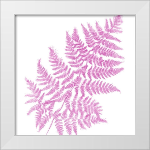 Fresh III White Modern Wood Framed Art Print by Lavoie, Tina