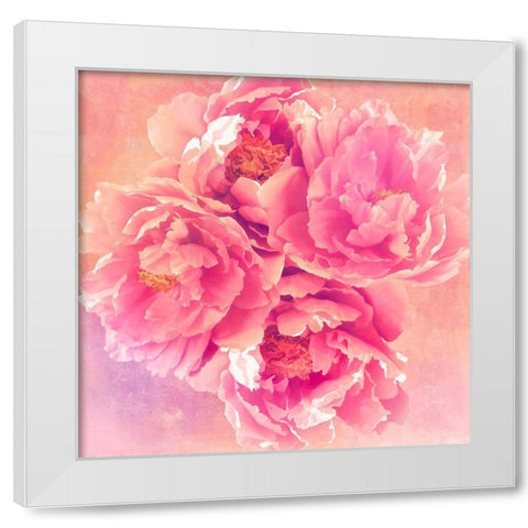 Peony Garden White Modern Wood Framed Art Print by Lavoie, Tina