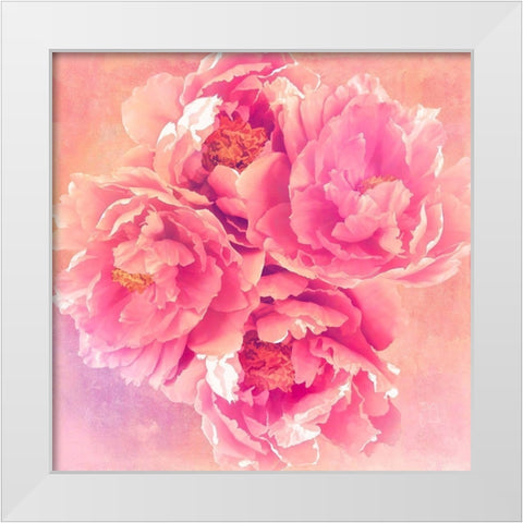 Peony Garden White Modern Wood Framed Art Print by Lavoie, Tina