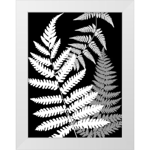 Tropics In Black And White IV White Modern Wood Framed Art Print by Lavoie, Tina