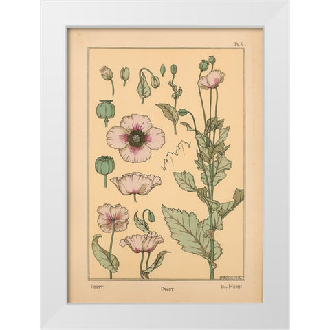 Plate 04 - Poppy White Modern Wood Framed Art Print by Vintage Apple Collection