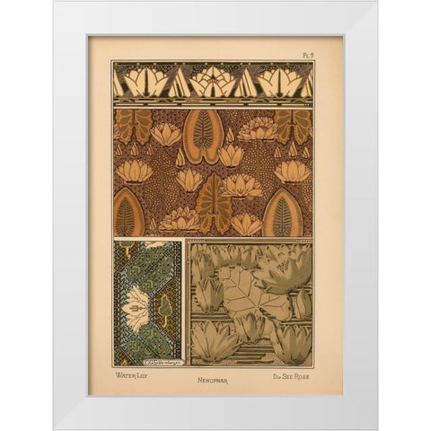 Plate 09 - Water-Lily White Modern Wood Framed Art Print by Vintage Apple Collection