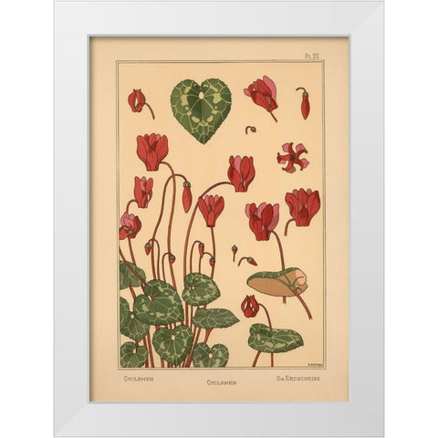 Plate 22 - Cyclamen White Modern Wood Framed Art Print by Vintage Apple Collection