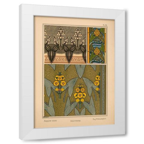 Plate 26 - Arrow-Head White Modern Wood Framed Art Print by Vintage Apple Collection