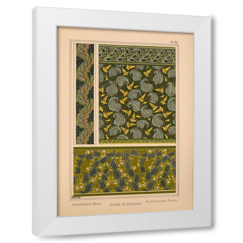 Plate 36 - Solomons Seal White Modern Wood Framed Art Print by Vintage Apple Collection