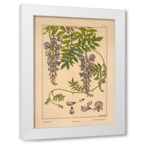 Plate 46 - Glycine White Modern Wood Framed Art Print by Vintage Apple Collection
