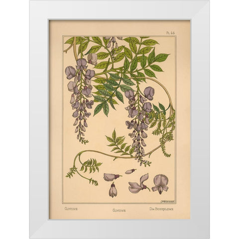 Plate 46 - Glycine White Modern Wood Framed Art Print by Vintage Apple Collection