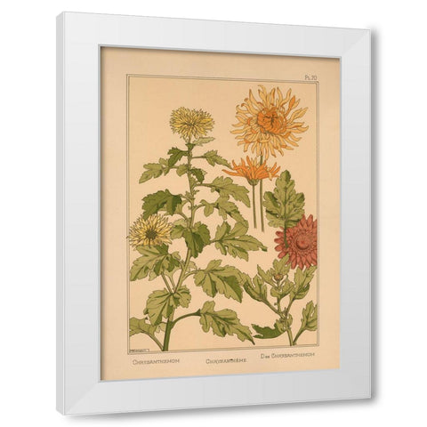 Plate 70 - Chrysanthemum White Modern Wood Framed Art Print by Vintage Apple Collection